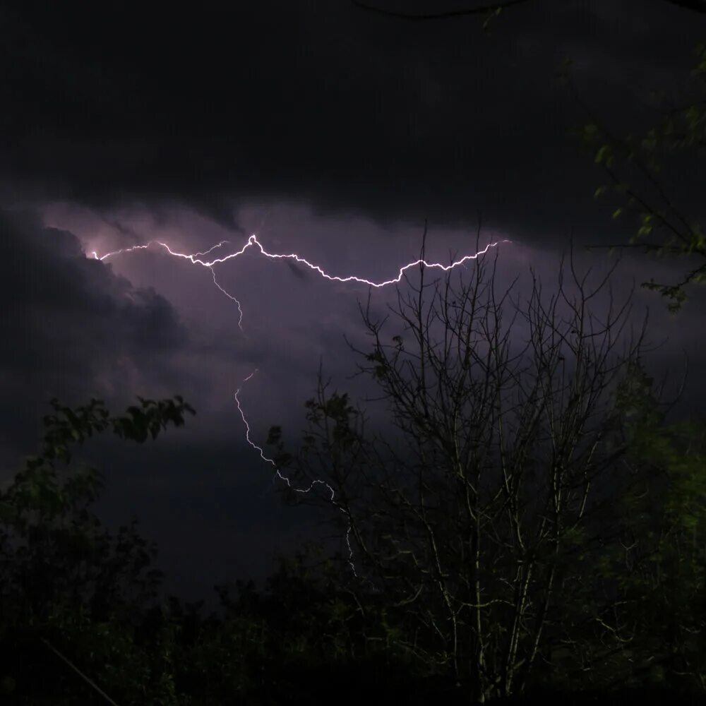 Thunder rain. Многоячейковые кластерные грозы. Гроза в лесу. Молния в лесу. Гроза и дождь.