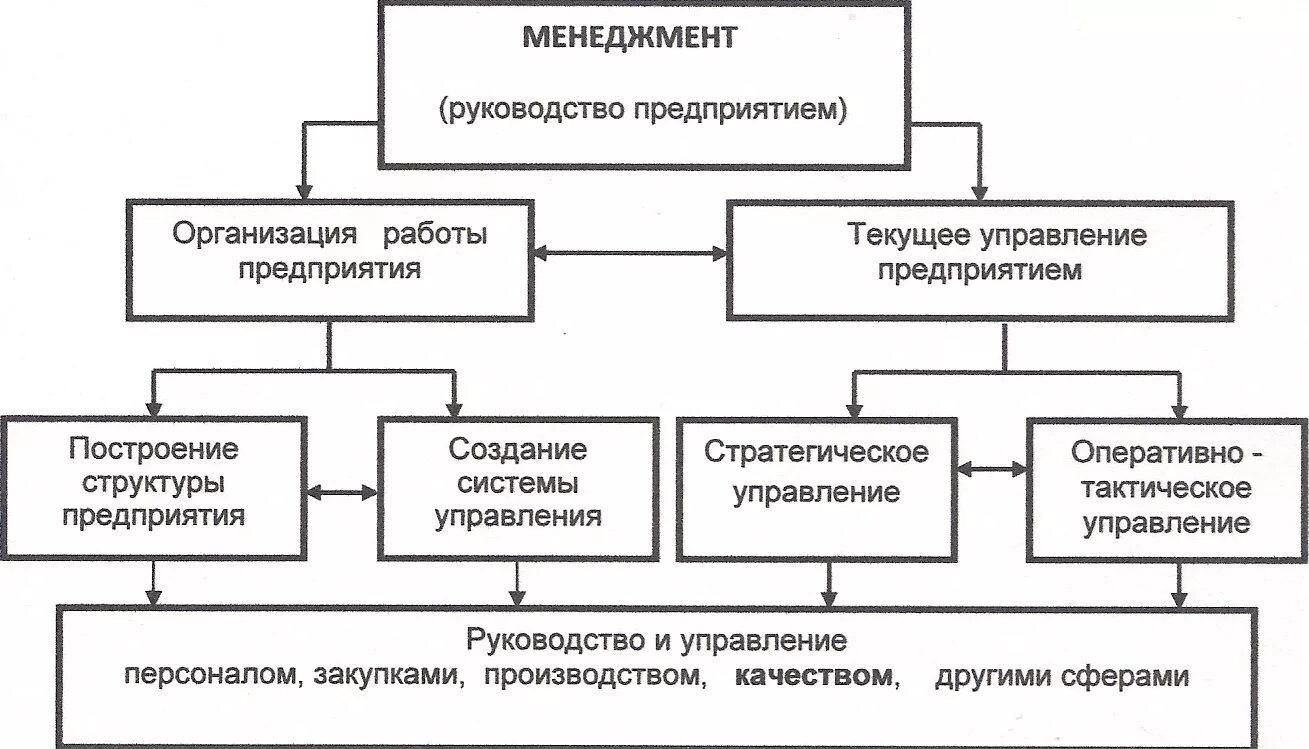 Организация управления и ее основы. Общая структура менеджмента. Структура организации: руководство, менеджмент. Организация схема в менеджменте. Структурная система управления менеджмента.