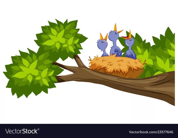 That bird is in the tree