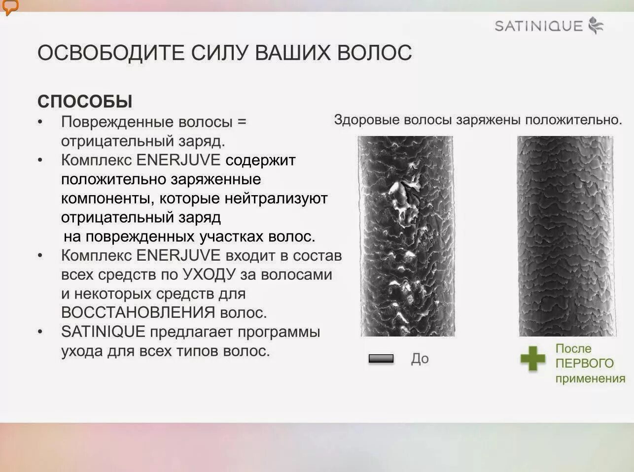 Степени поврежденных волос. Заряд волоса человека. Способы повреждения волос. Структура волоса.