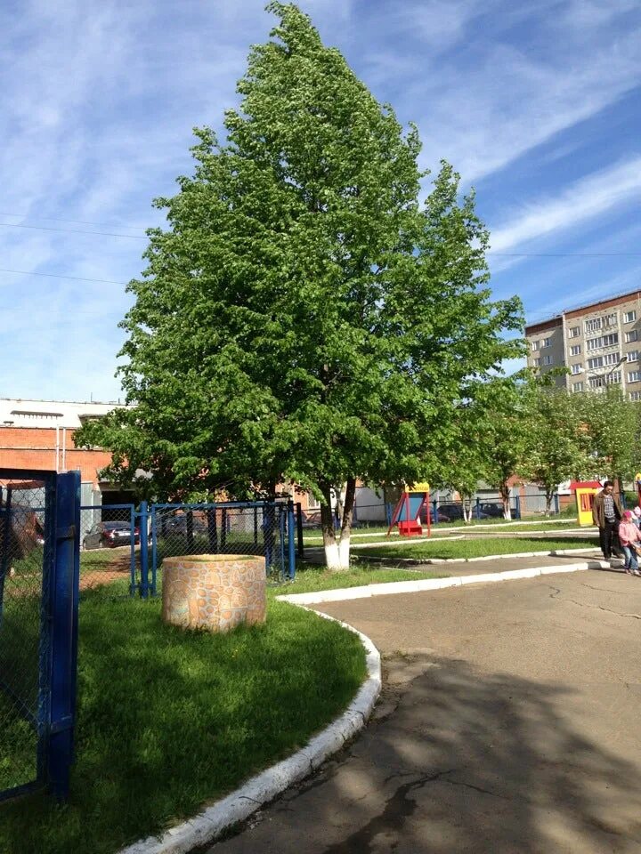 Детский сад 92 ижевск. 187 сад ижевск. Детский сад 241 ижевск. Удмуртская 139а детский сад. Детский сад 241 кемерово.