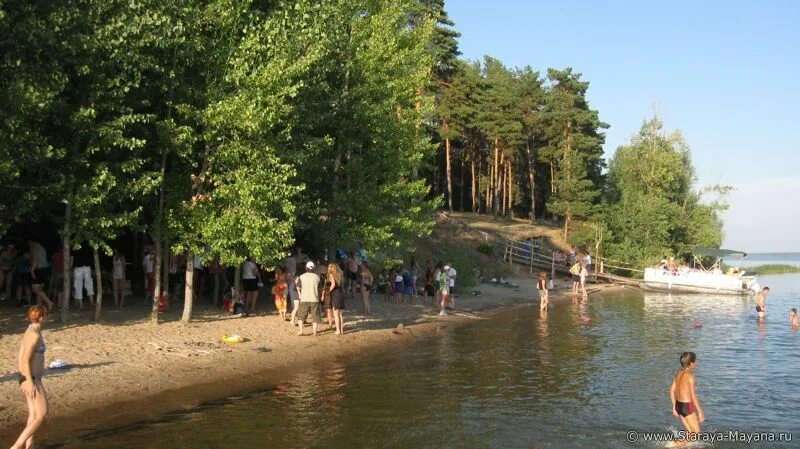 Русский берег паром. Эко парк русский берег. Турбаза русский берег. Турбаза русский берег ульяновск. Экопарк русский берег ульяновск.