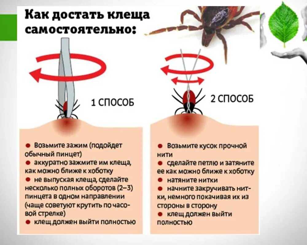 В какую сторону надо выкручивать. В какую сторону надо выкручивать