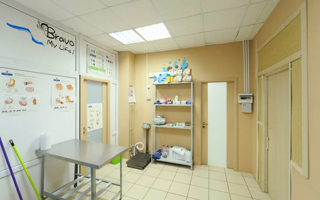 ветклиника ангарск 29 микрорайон. ветеринарная клиника зверополис. зверополис поликлиника. хользунова 6 ветеринарная клиника волгоград. зверополис клиника.