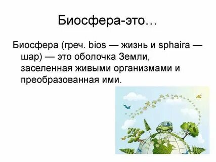 Что такое экологические признаки в биологии 5
