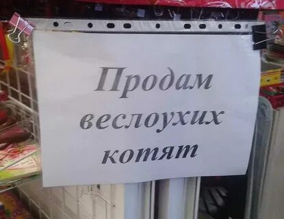 Дай продам