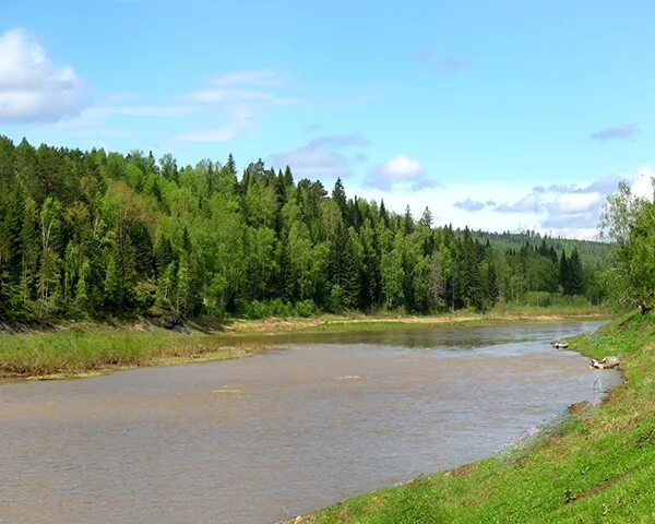 Татарск река. Река татарка Красноярский край. Заказник "река татарка". Елогуйский заказник Красноярский край. Река татарка Челябинская область.