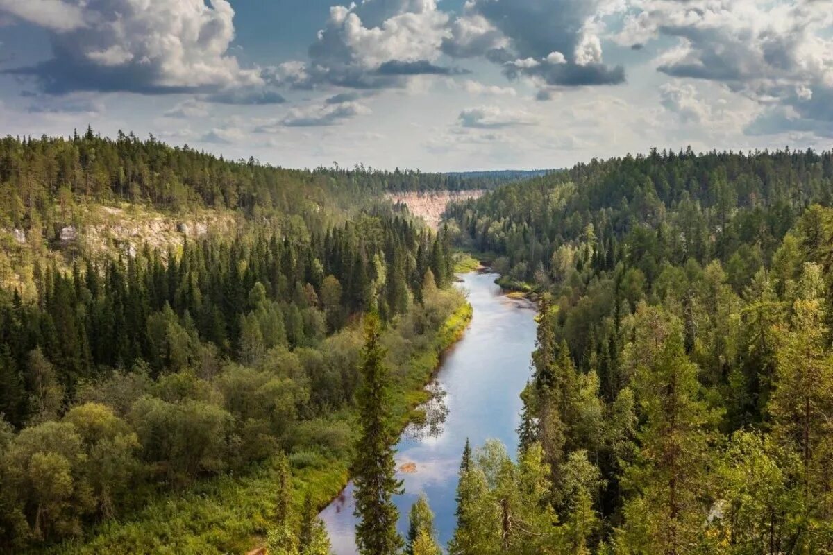 В тайге есть лето