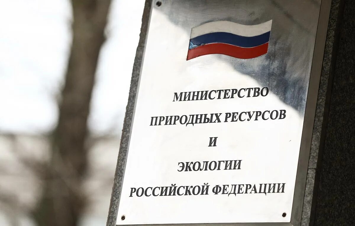 Минприроды электронная почта. Минприроды электронная почта