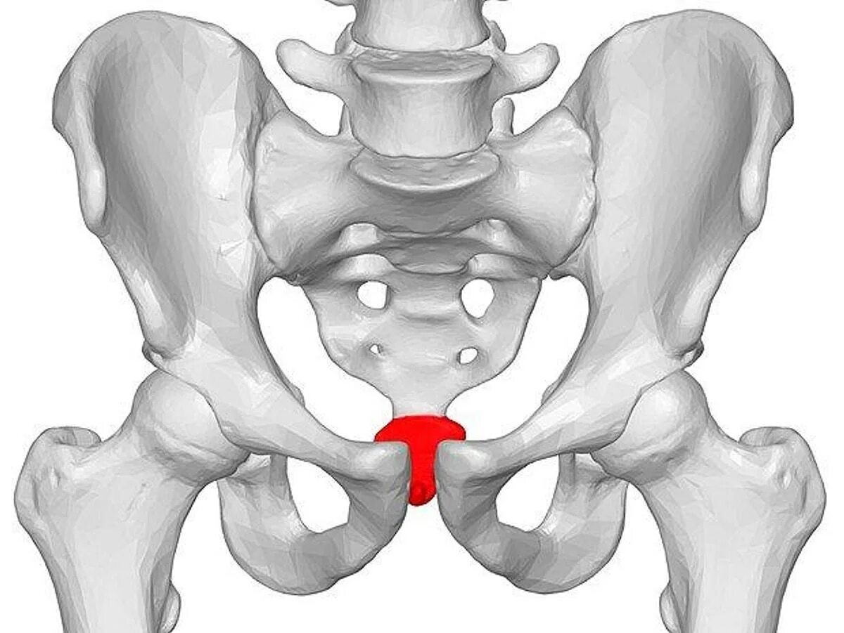 Сильные боли в области таза. Гребень повзошнойткости. Греьень подвздошнойкости. Подвздошная кость гребень. Гребень подвисочной кости.