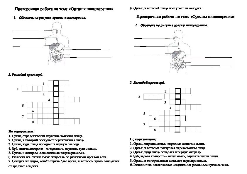 Задания по теме пищеварение. Задание по пищеварительной системе. Пищеварительная система задания. Проверочная работа по пищеварительной системе. Пищеварение тест 8 класс биология с ответами