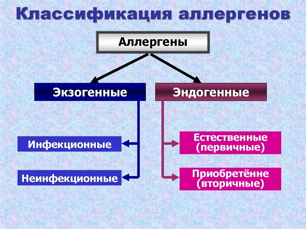 Экзогенные антигены. Классификация эндогенных аллергенов. Классификация аллеген. Классификация аллергенов иммунология. Классификация аллергенов схема.