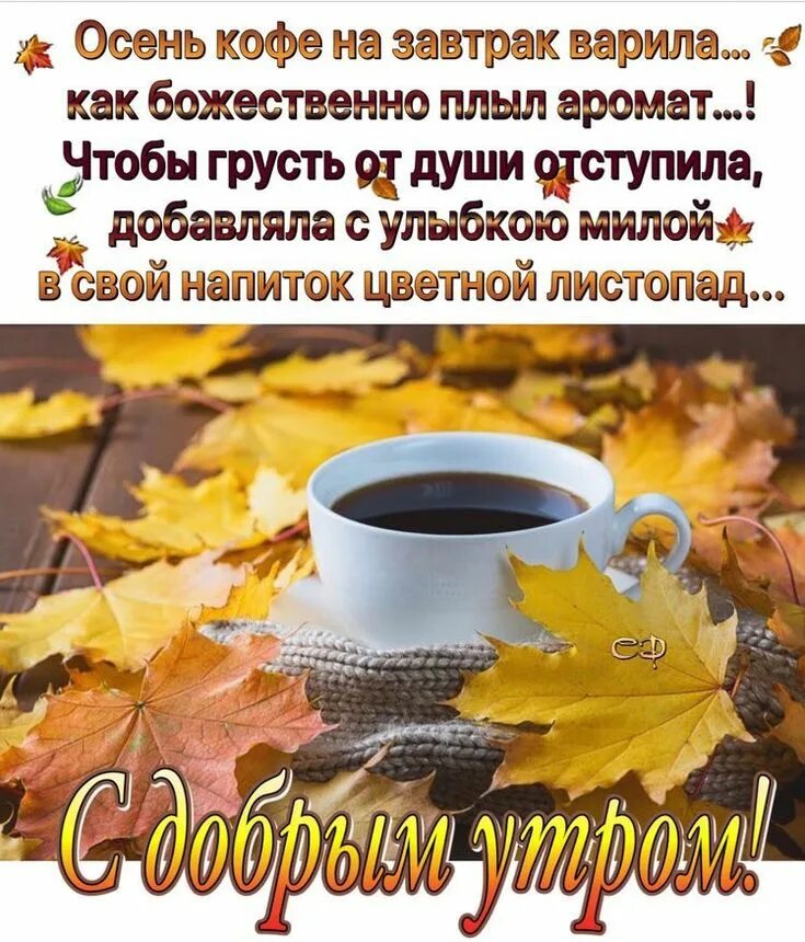 Пин на доске Доброе утро, день (осень) Картинки, Нежности, Весна