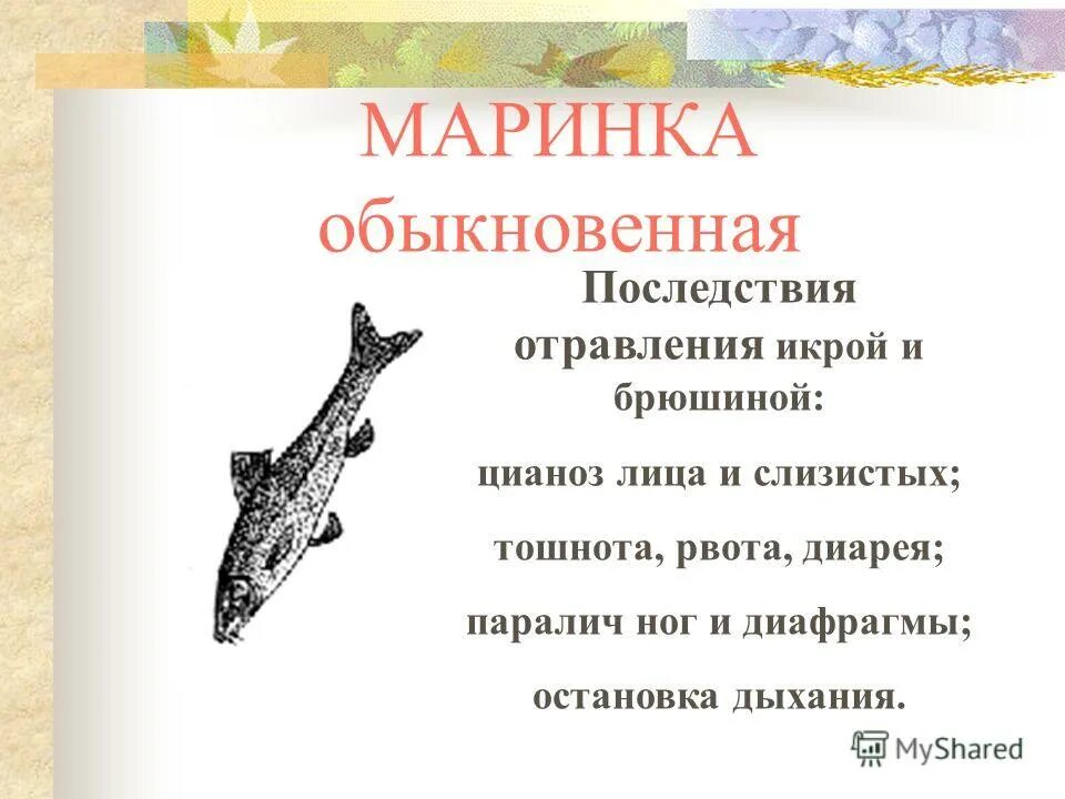 признаки отравления икрой