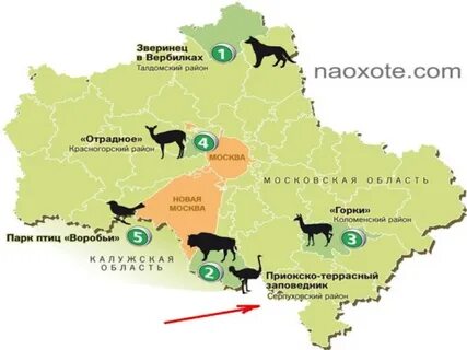 Охраняемые природные территории москва