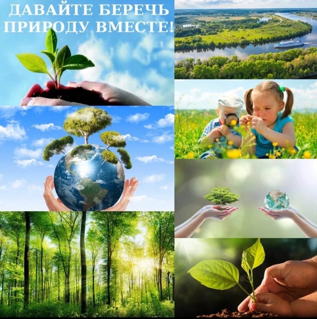 Экологическое развитие и защита окружающей среды. Защита окружающей среды. охрана природы. сохранение природы. экология защита природы.