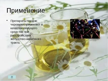 Плоды черемухи применение