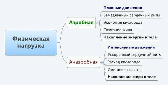 Пример анаэробного может быть бег на Что такое бег Виды бега.