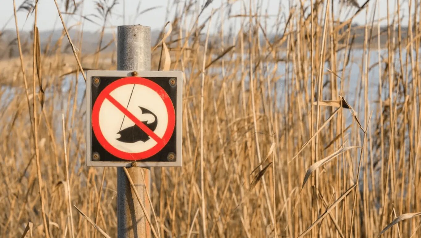 Запрет на ловлю дон. Рыбалка запрещена. День против рыбной ловли. Таблички о запрете рыбалки. Знак запрета ловли рыбы.