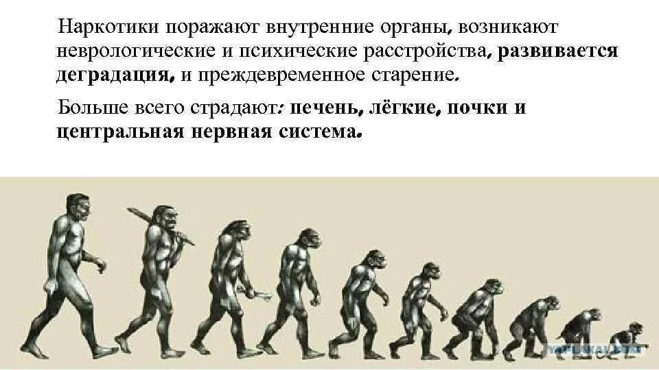Называется деградация. Деградация. Эволюция человека. Деградация человека. Алкогольная деградация личности.