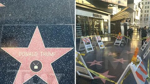 Звезда дональда трампа на голливудской аллее славы