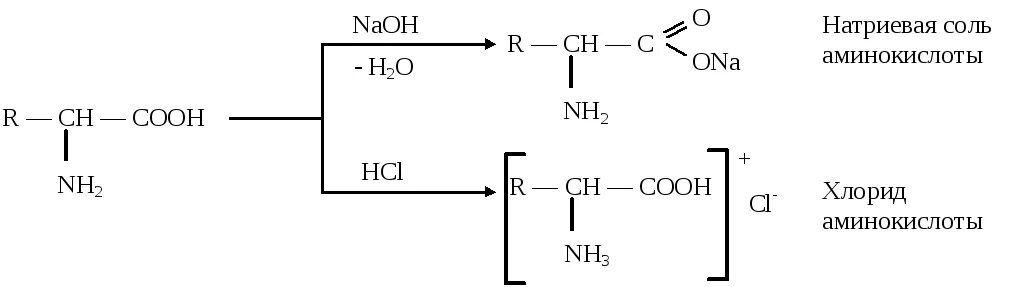 Реакция солей аминокислот с кислотами. Аминокислота и соляная кислота. Реакция аминокислоты с соляной кислотой. Соль аминокислоты и соляная кислота. Глицин реагирует с гидроксидом натрия