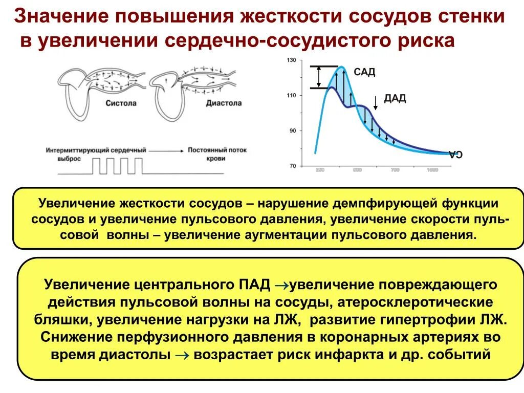 Скорость повышения давления. Методы оценки жесткости сосудов. Жесткость сосудистой стенки. Оценка жесткости сосудистой стенки. Увеличение пульсового давления.