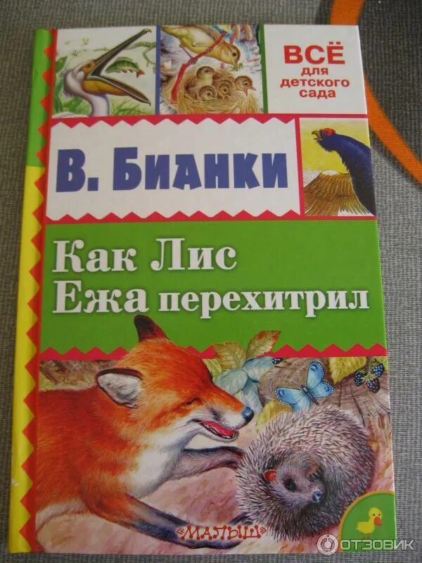 Бианки еж. Как лис ежа перехитрил виталий бианки. как лис ежа перехитрил бианки. как лис ежа перехитрил виталий бианки книга. виталий бианки как лис ежа перехитрил картинки.