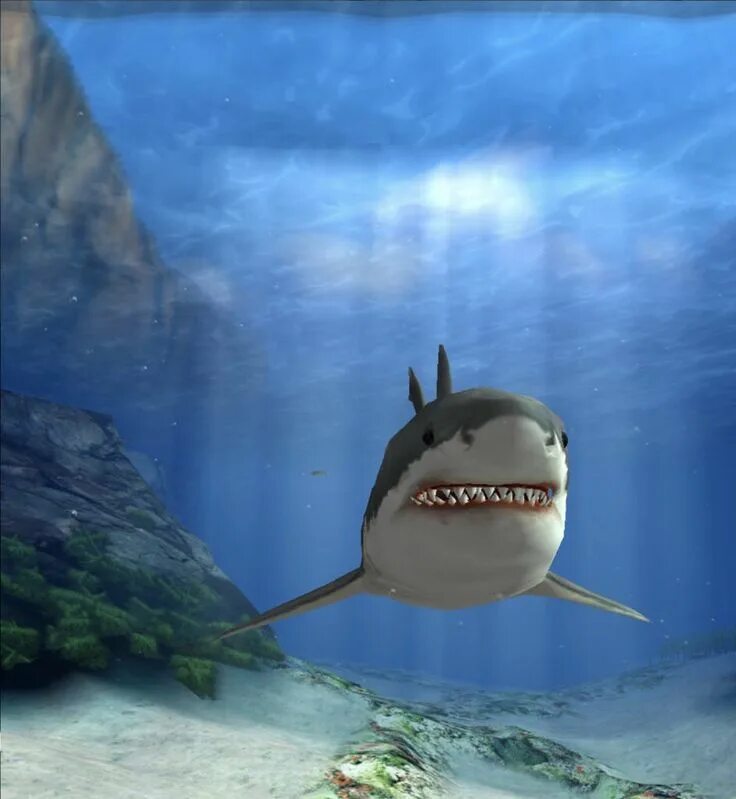 3d unleashed. Jaws unleashed 2. jaws unleashed игра. jaws unleashed акула. челюсти игра 2006.