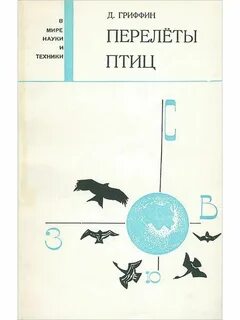 Лети р