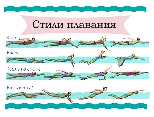 Плавание брассом кролем баттерфляем. Техники плавания брасс кроль баттерфляй. стили плавания кроль брасс баттерфляй. кроль брасс баттерфляй виды плавания. плавание кроль,брасс,баттерфляй,кроль на спине.
