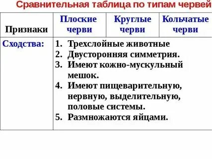 Чем кольчатые черви отличаются от круглых