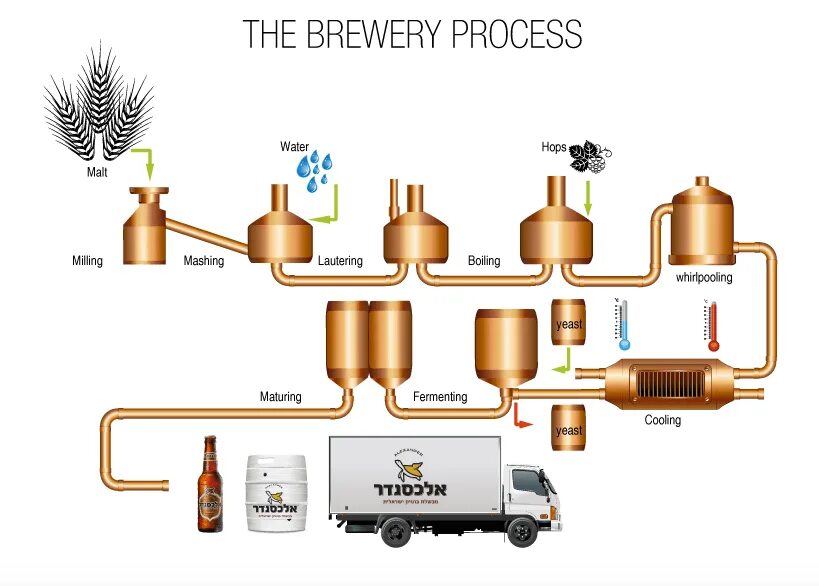 Где производится пиво. Технология производства пива. Процесс пивоварения. Этапы производства пива. Схема пивоварения.