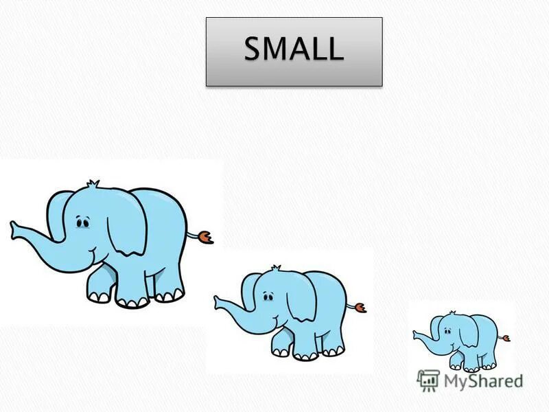 Smaller smallest bigger biggest funnier. Small smaller. small smaller the smallest. картинка small smaller. small smaller the smallest картинки.