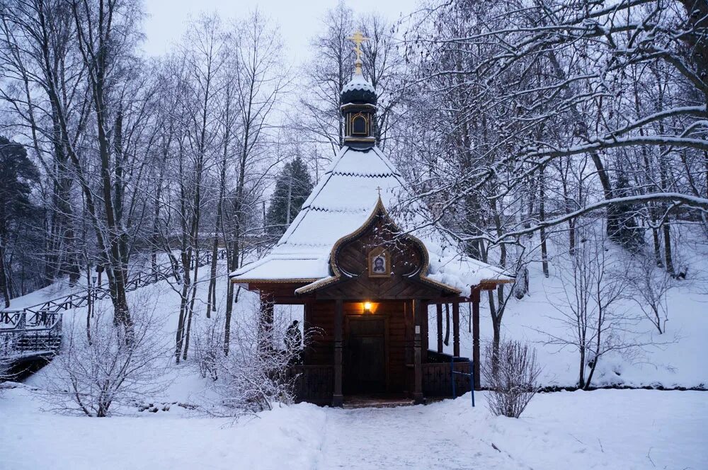 Родник зимой. Талеж Родник. Талеж Святой источник купель. Святой источник преподобного Давида в селе Талеж. Давидова пустынь купель.