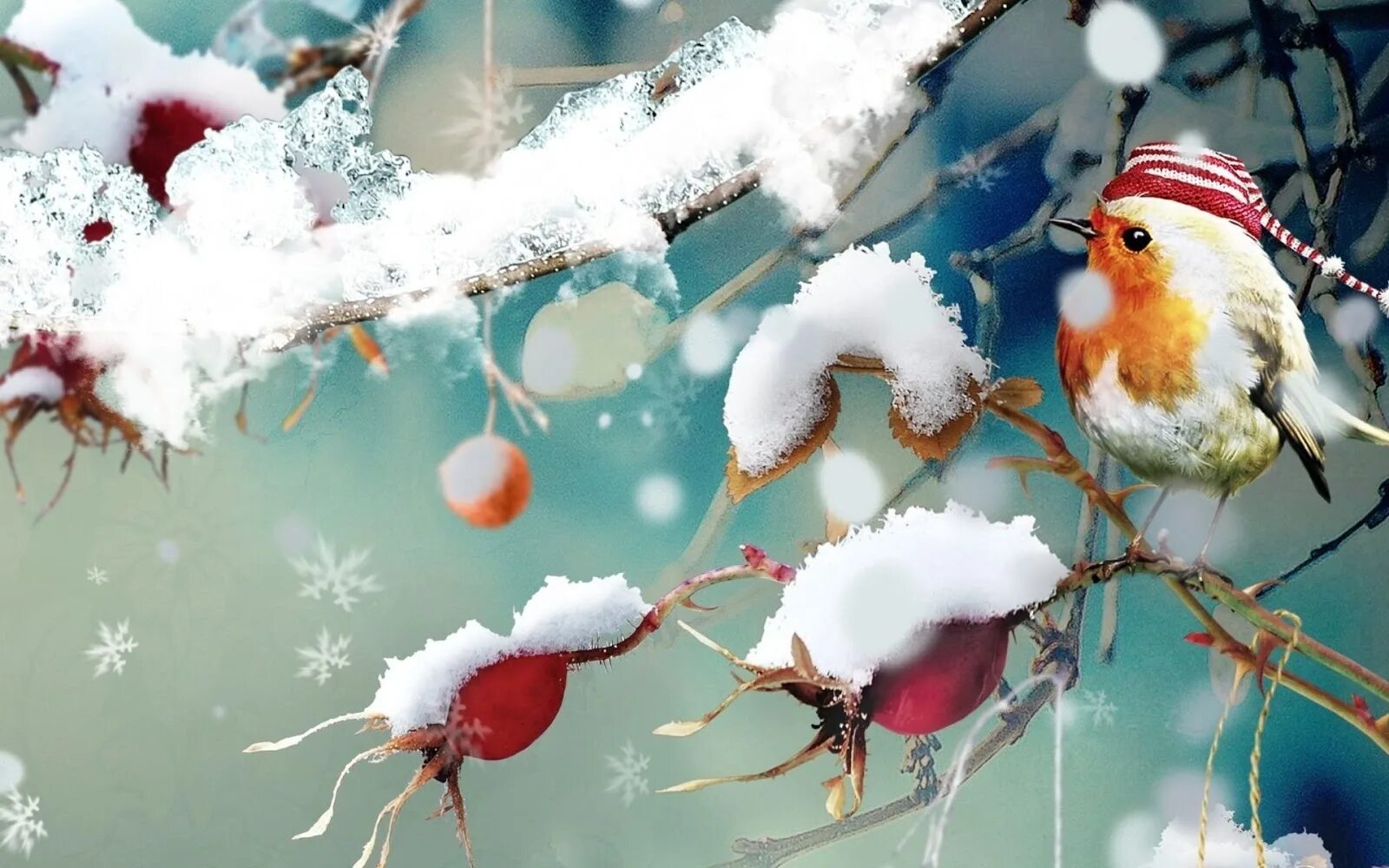 Картинки февраль стильные. Зимняя тематика. Зимние обои. Фон зима птицы. Картинки на рабочий стол зима.