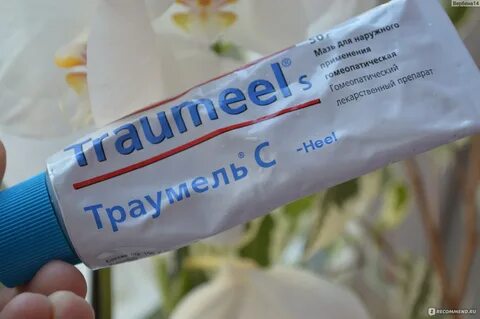 Траумель мазь для чего применяется