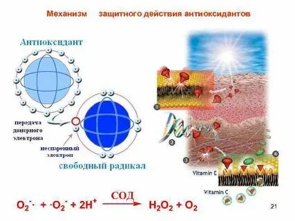 Действие свободных радикалов