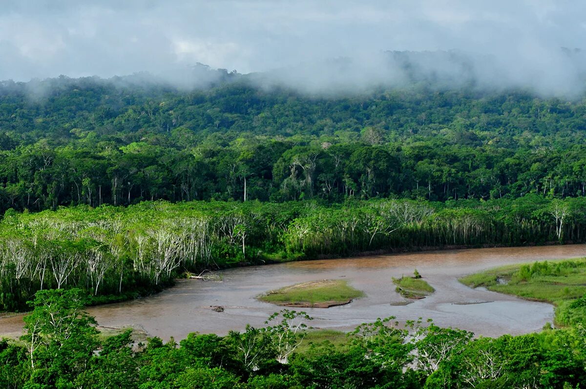 Мадиди Боливия. Национальный парк Мадиди (Madidi). Madidi National Park, Боливия. Национальный парк Мадиди Боливия опасность.