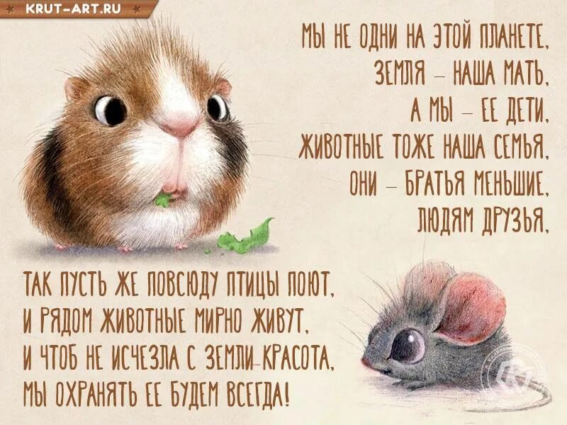 Дарю тепло день защиты животных. Дарю тепло день защиты животных