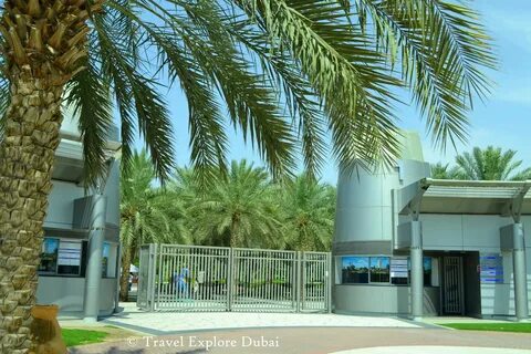 Pay park