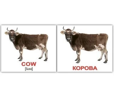 Cow перевод на русский