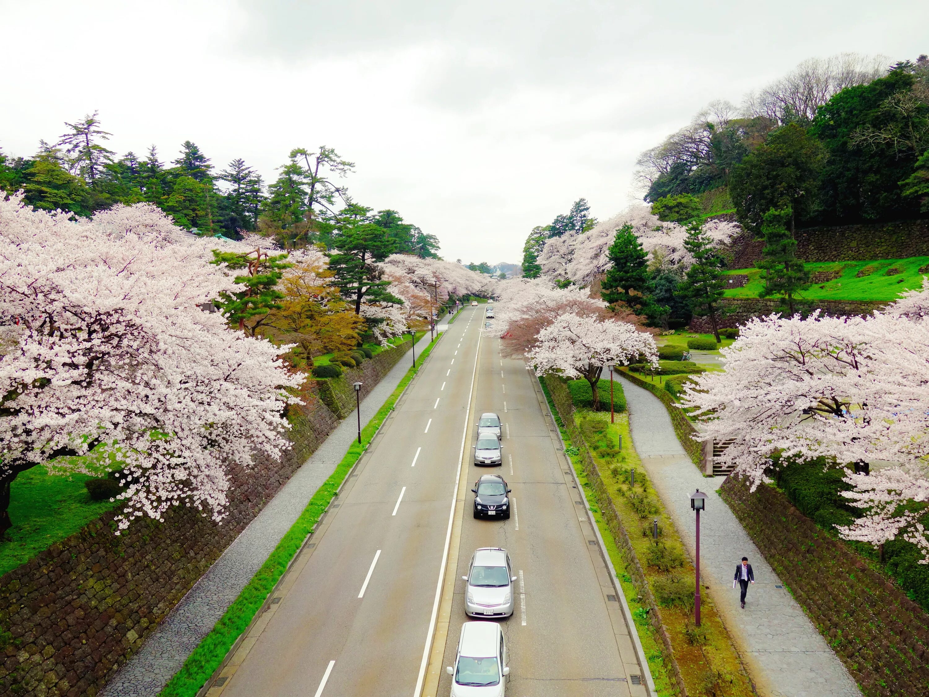 Yellow spring road япония. Гора Акина Япония. Сакура Токио улочки. Гора Акина Япония дорога. Префектура Гунма гора Акина.