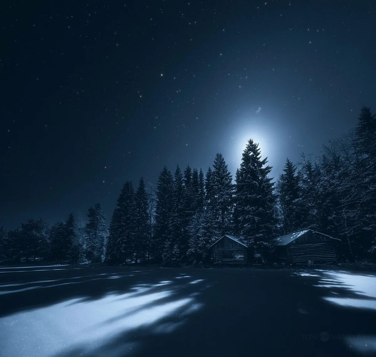 Зима ночь. Зимнее ночное небо. Зимний лес ночью. Ночь зимой.