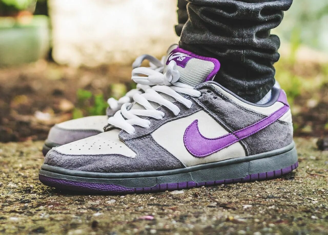 Nike sb dunk low purple lobster. Nike sb dunk low purple pigeon. Nike dunk low lila. Nike sb dunk purple. Данки серо фиолетовые.