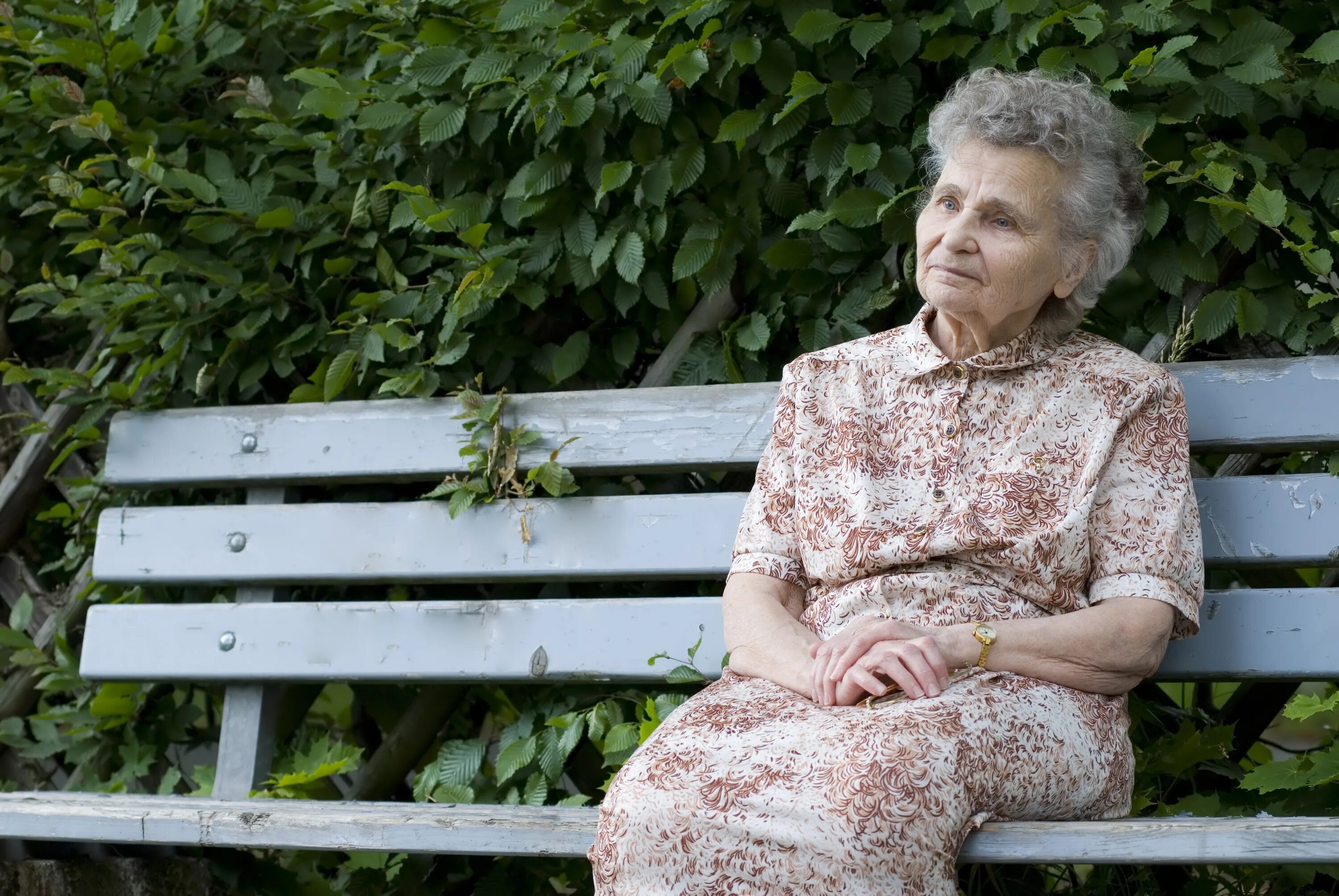 Бабушка снизу. Пожилая женщина на скамейке. Бабушка сидит в парке. Бабушка на скамейке в парке. Пожилая женщина на скамейке в парке.