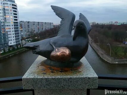Чайка екатеринбург