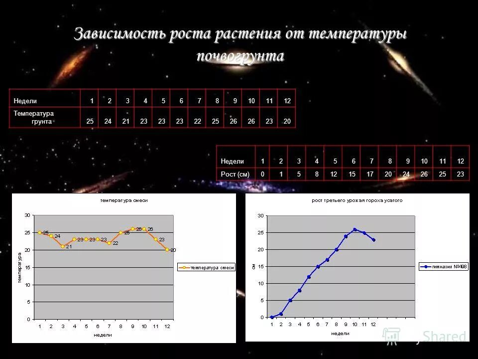 24 недели температура