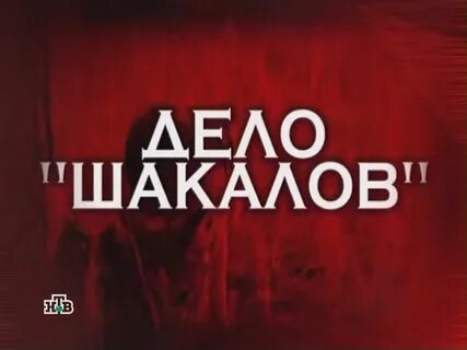 Следствие вели с леонидом каневским 2008