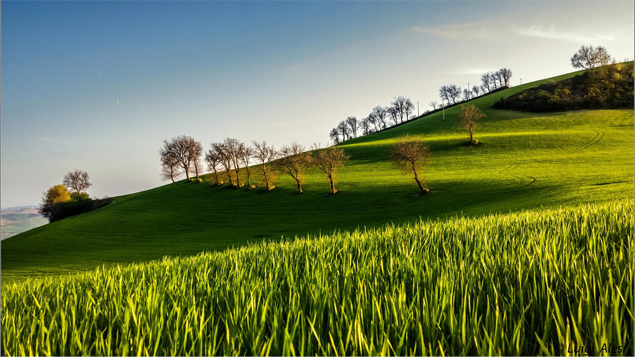 Уругвай холмистая местность. Растения на холме. Зеленое поле. Склон холма. Холм каванал хилл.